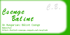 csenge balint business card