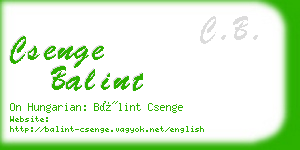 csenge balint business card